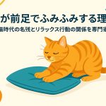 ふみふみする猫の画像