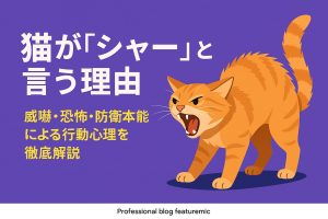 シャーと鳴く猫の画像
